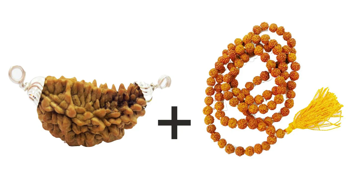 1 Mukhi Rudraksha Mala