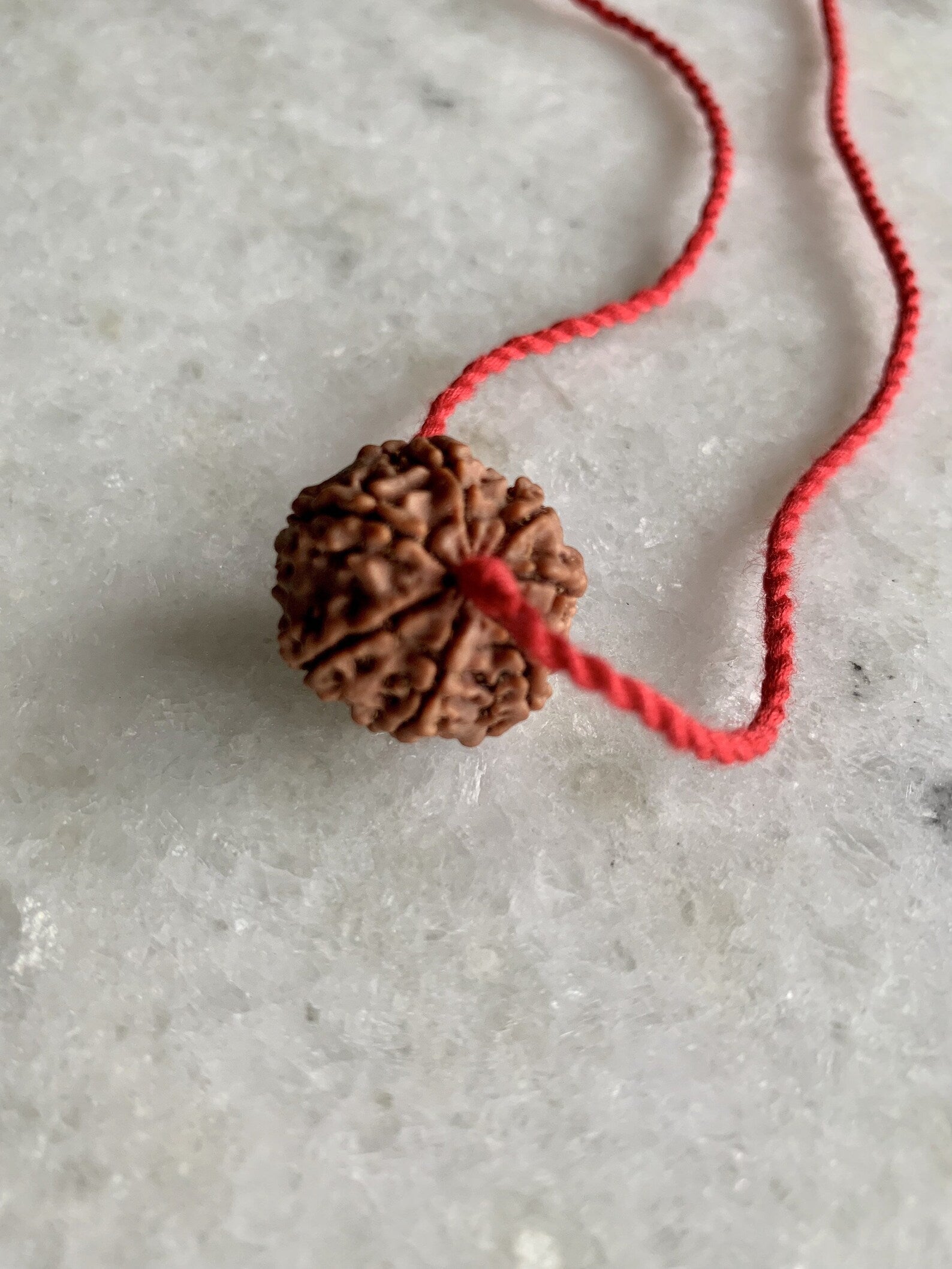 Goddess Lakshmi, Abundance, Original Authentic Nepal Rudraksha Certified