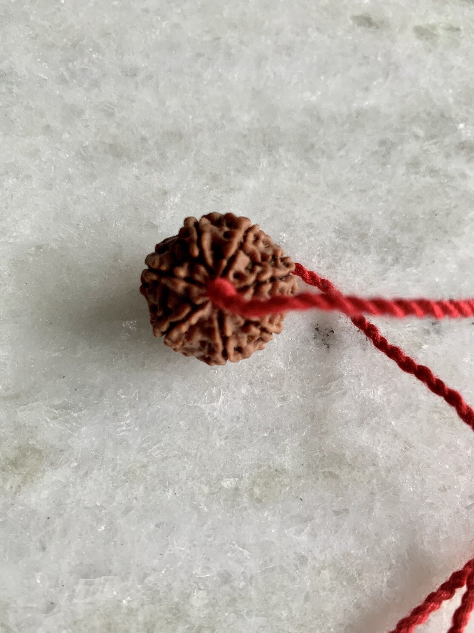 Goddess Lakshmi, Abundance, Original Authentic Nepal Rudraksha Certified