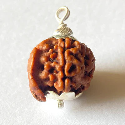 Natural Ganesh Mukhi Rudraksha