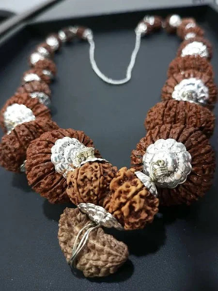 1 to 21 Best Indra Mala Rudraksha Nepal Original Rudraksha Pendant Rudraksha Pure bead Wearing Mala & Pooja Mala